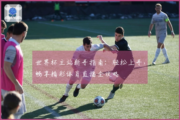 世界杯主站新手指南：轻松上手，畅享精彩体育直播全攻略